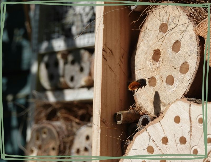 Insektenhotels